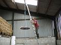 Steve putting chandelier over bar